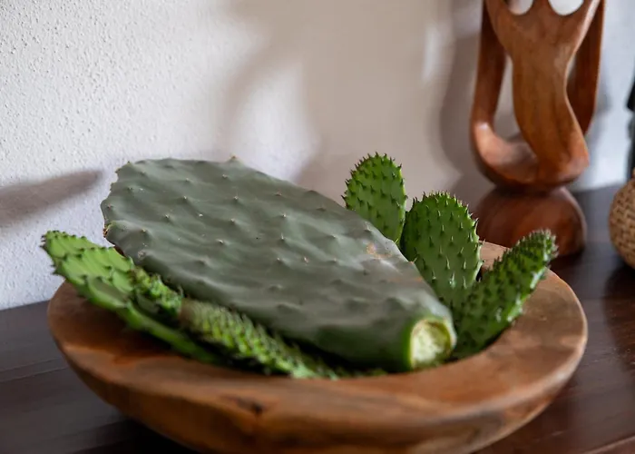 Dom wakacyjny Daniel - Pool - Aussenkueche - Garten