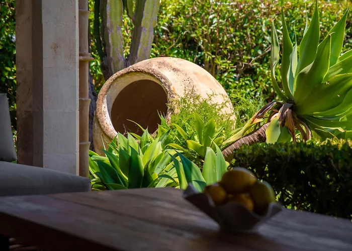 Dom wakacyjny Daniel - Pool - Aussenkueche - Garten Pollensa