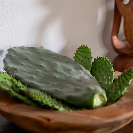 Vakantiehuis Daniel - Pool - Aussenkueche - Garten