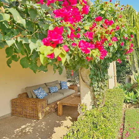 Daniel - Pool - Aussenkueche - Garten Vakantiehuis