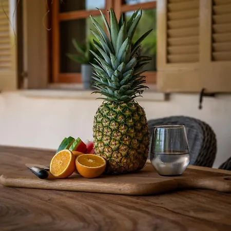 Daniel - Pool - Aussenkueche - Garten * Pollensa