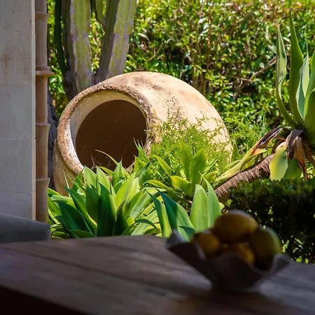 Dom wakacyjny Daniel - Pool - Aussenkueche - Garten Pollensa