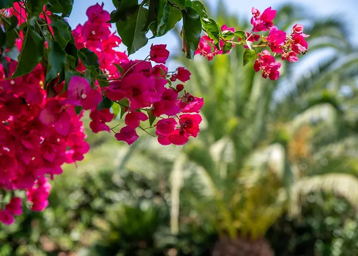 Daniel - Pool - Aussenkueche - Garten * Польенса